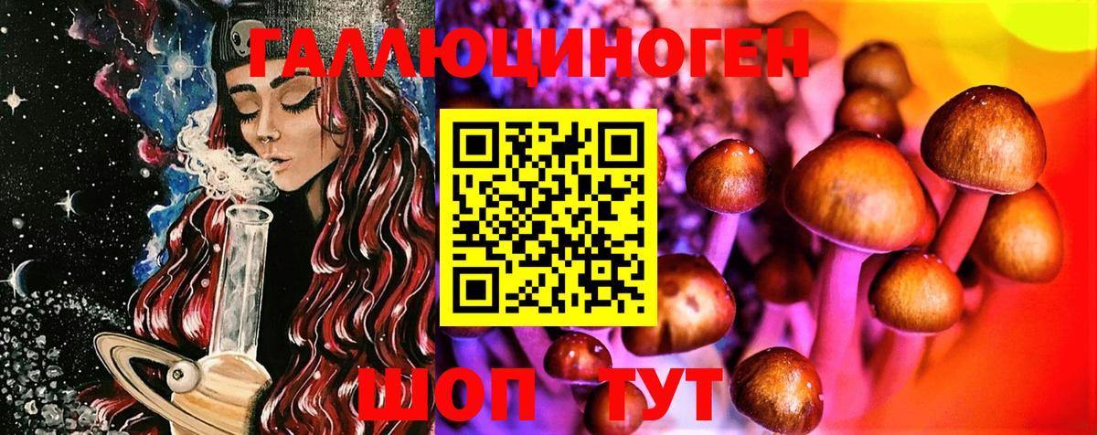 Псилоцибиновые грибы мицелий Асино